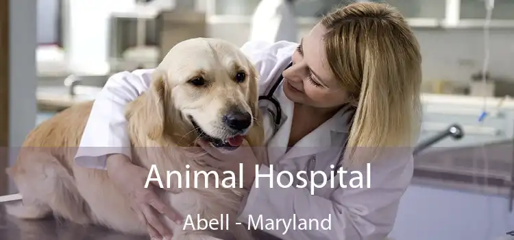 Animal Hospital Abell - Maryland