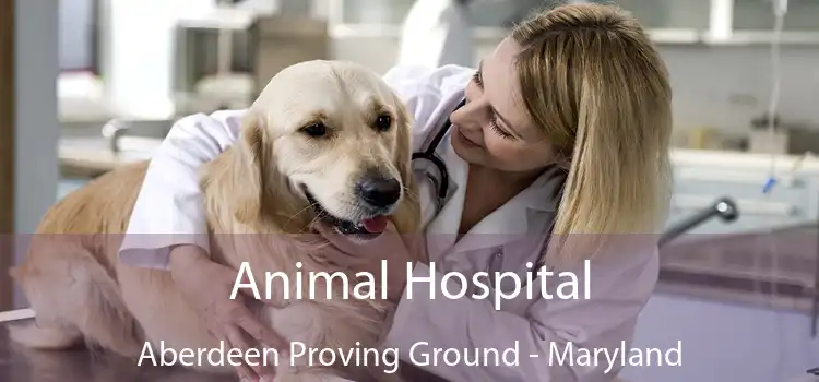 Animal Hospital Aberdeen Proving Ground - Maryland