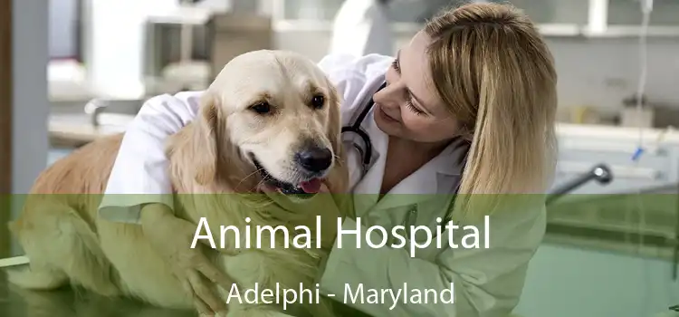 Animal Hospital Adelphi - Maryland