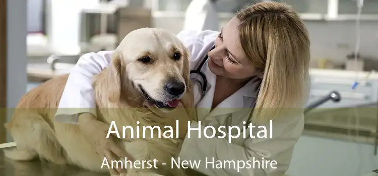 Animal Hospital Amherst - New Hampshire