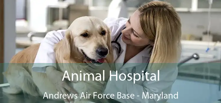 Animal Hospital Andrews Air Force Base - Maryland