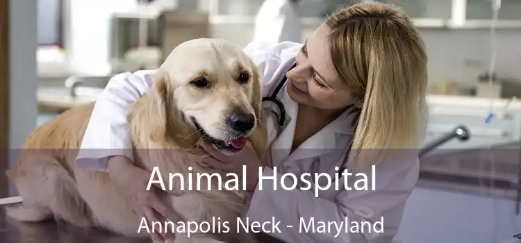 Animal Hospital Annapolis Neck - Maryland