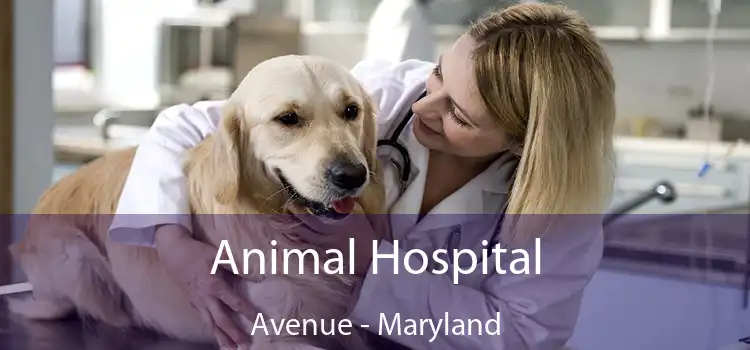 Animal Hospital Avenue - Maryland