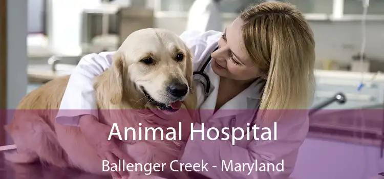 Animal Hospital Ballenger Creek - Maryland