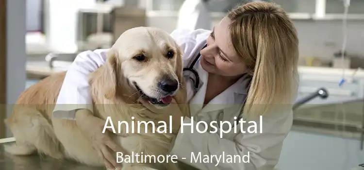 Animal Hospital Baltimore - Maryland