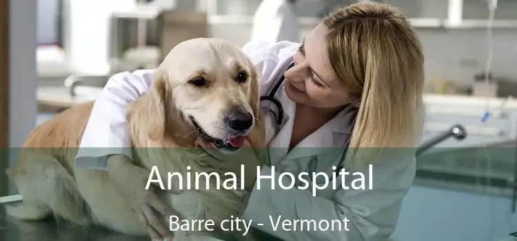 Animal Hospital Barre city - Vermont