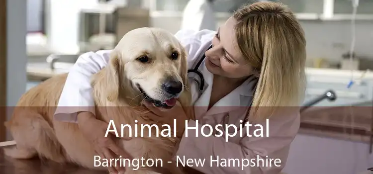 Animal Hospital Barrington - New Hampshire