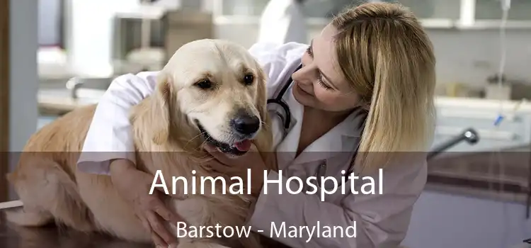 Animal Hospital Barstow - Maryland