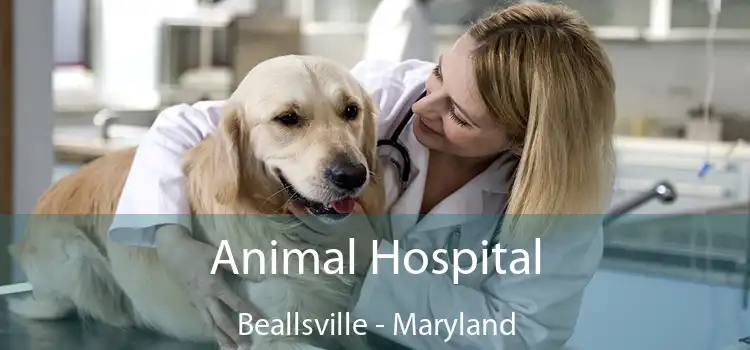 Animal Hospital Beallsville - Maryland