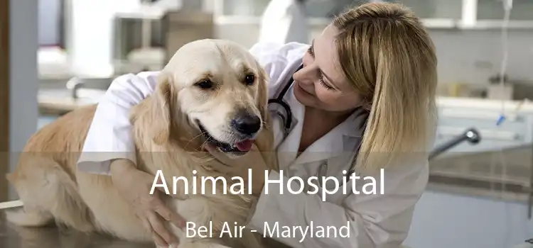 Animal Hospital Bel Air - Maryland