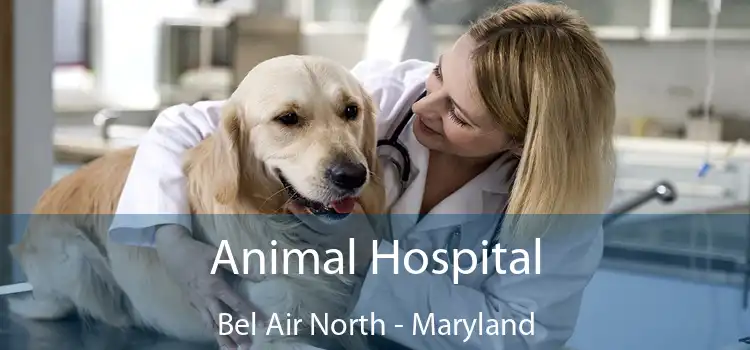 Animal Hospital Bel Air North - Maryland