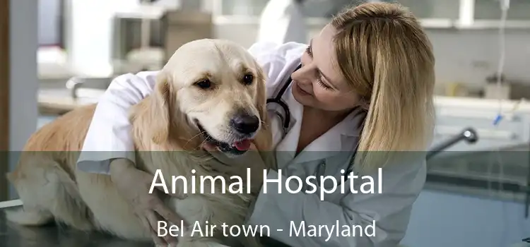 Animal Hospital Bel Air town - Maryland