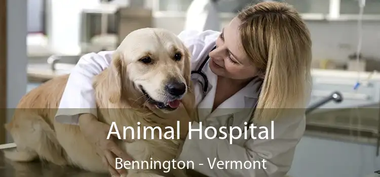 Animal Hospital Bennington - Vermont