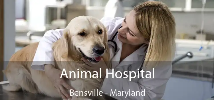 Animal Hospital Bensville - Maryland