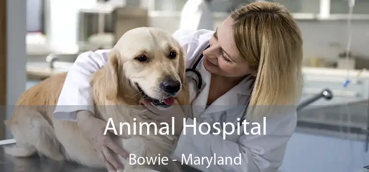 Animal Hospital Bowie - Maryland