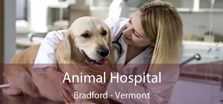 Animal Hospital Bradford - Vermont