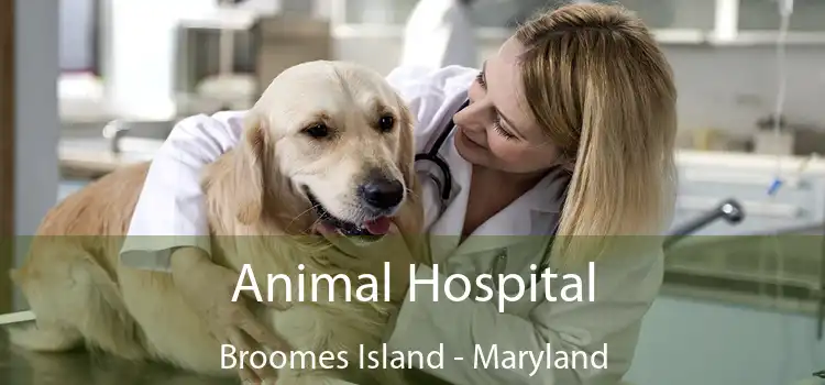 Animal Hospital Broomes Island - Maryland