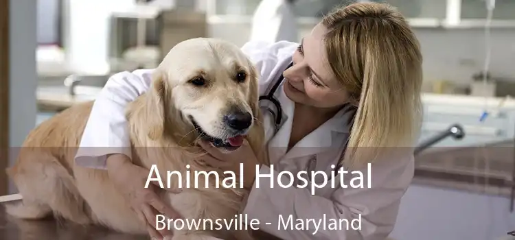 Animal Hospital Brownsville - Maryland