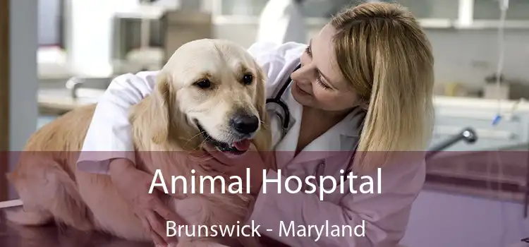 Animal Hospital Brunswick - Maryland