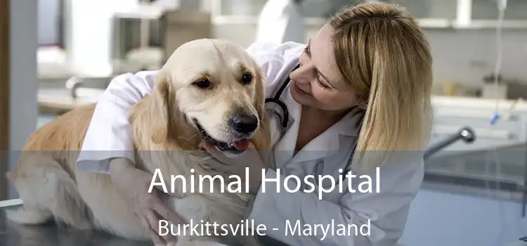 Animal Hospital Burkittsville - Maryland