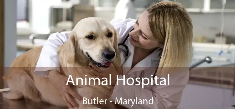 Animal Hospital Butler - Maryland