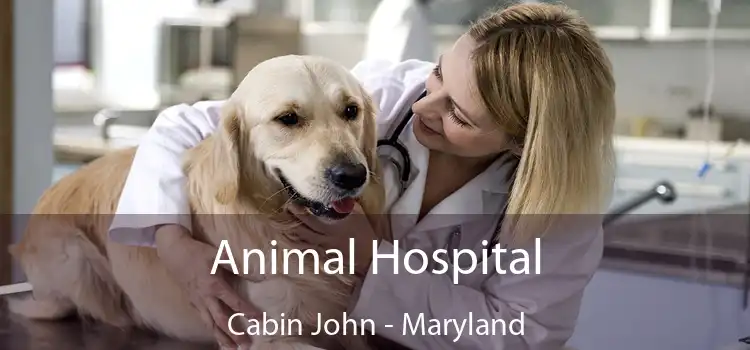 Animal Hospital Cabin John - Maryland