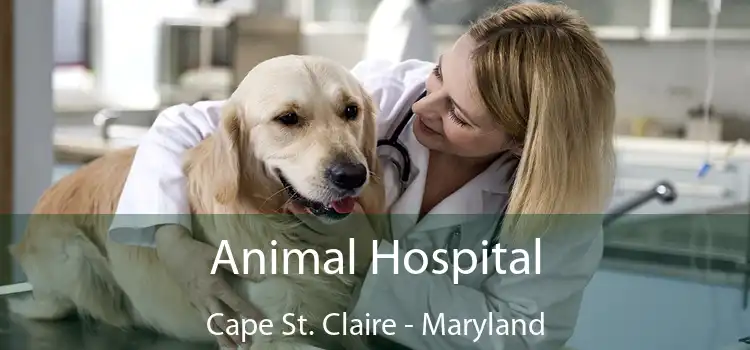 Animal Hospital Cape St. Claire - Maryland