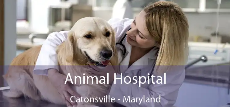 Animal Hospital Catonsville - Maryland