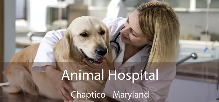 Animal Hospital Chaptico - Maryland