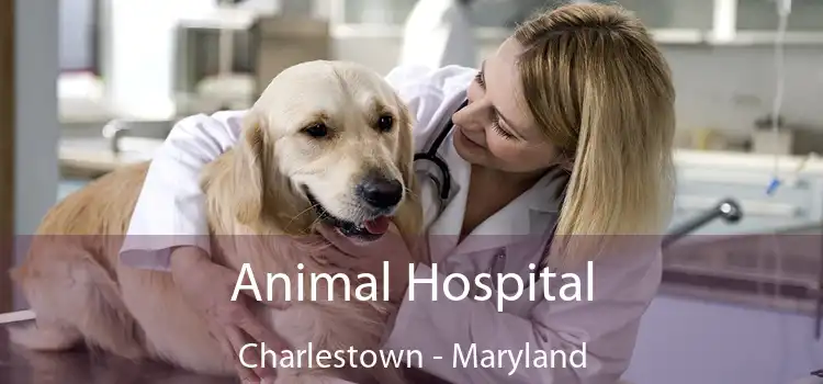 Animal Hospital Charlestown - Maryland