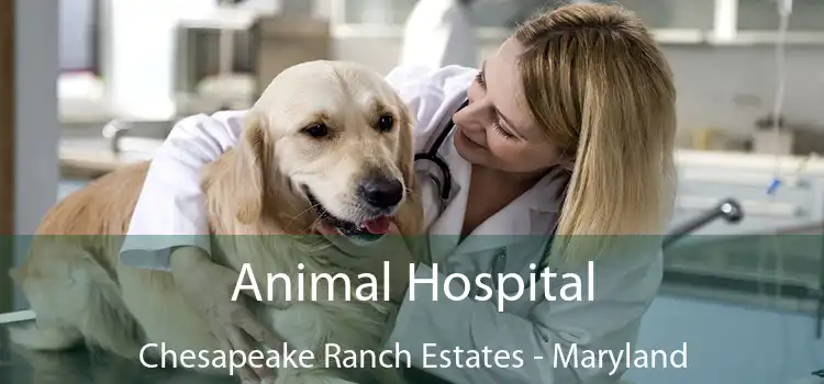 Animal Hospital Chesapeake Ranch Estates - Maryland