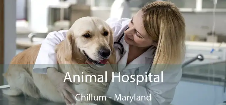 Animal Hospital Chillum - Maryland