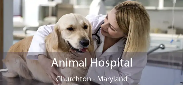 Animal Hospital Churchton - Maryland