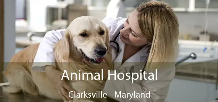 Animal Hospital Clarksville - Maryland