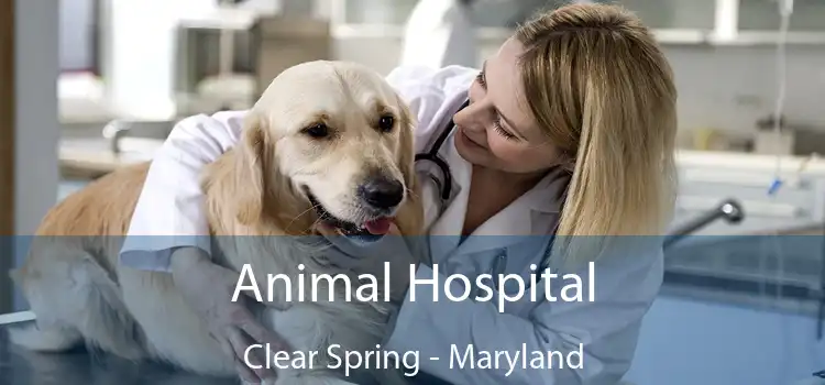 Animal Hospital Clear Spring - Maryland