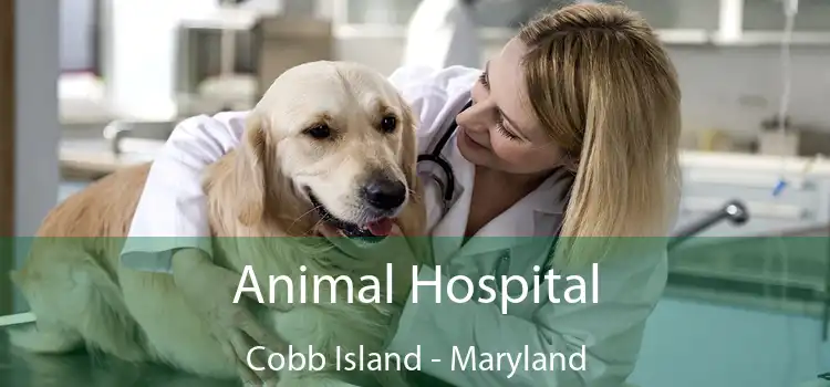 Animal Hospital Cobb Island - Maryland