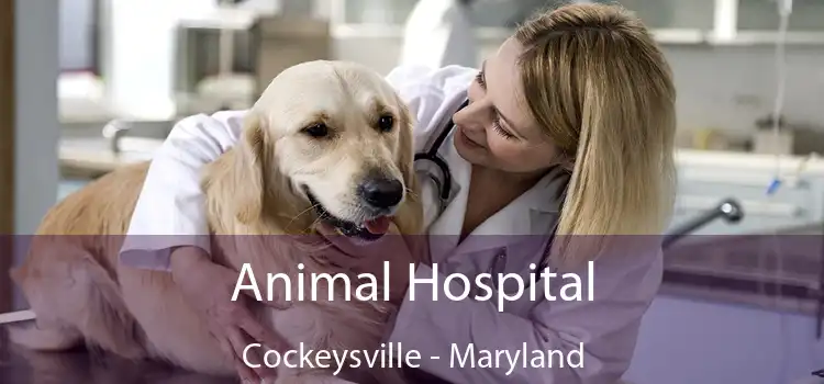 Animal Hospital Cockeysville - Maryland