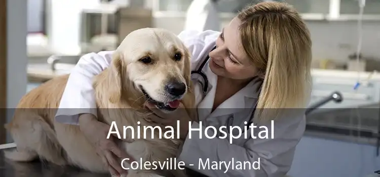 Animal Hospital Colesville - Maryland