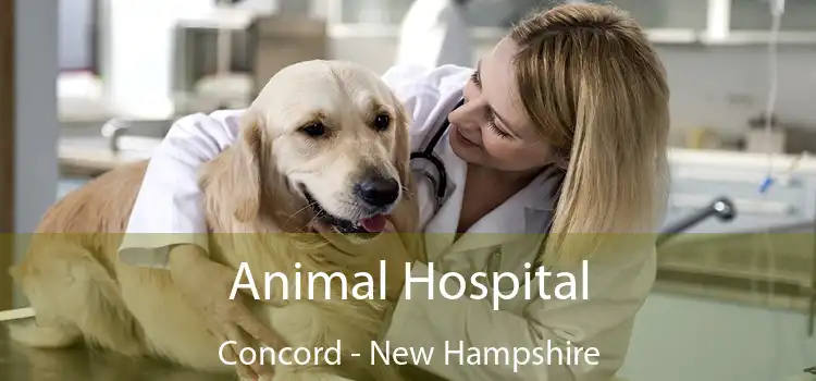 Animal Hospital Concord - New Hampshire