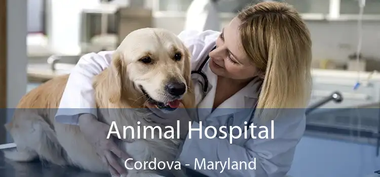 Animal Hospital Cordova - Maryland