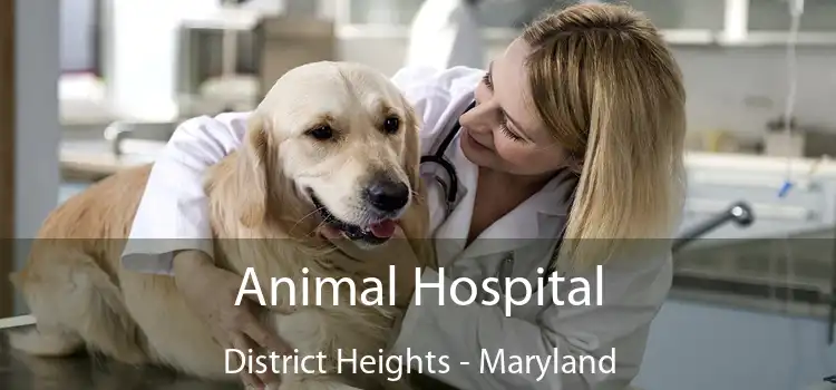 Animal Hospital District Heights - Maryland