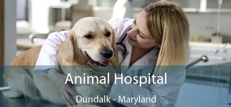 Animal Hospital Dundalk - Maryland