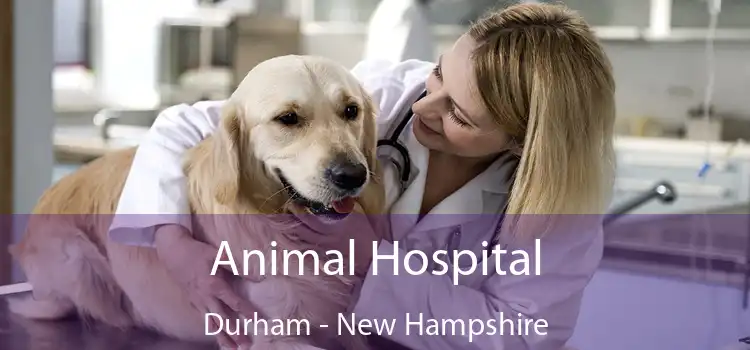 Animal Hospital Durham - New Hampshire