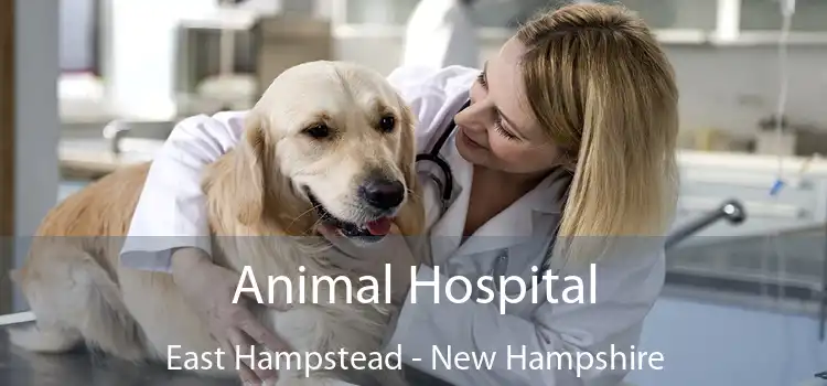 Animal Hospital East Hampstead - New Hampshire