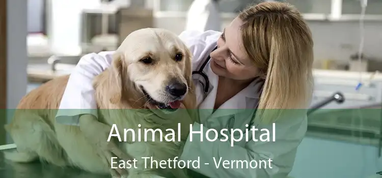 Animal Hospital East Thetford - Vermont