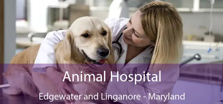 Animal Hospital Edgewater and Linganore - Maryland