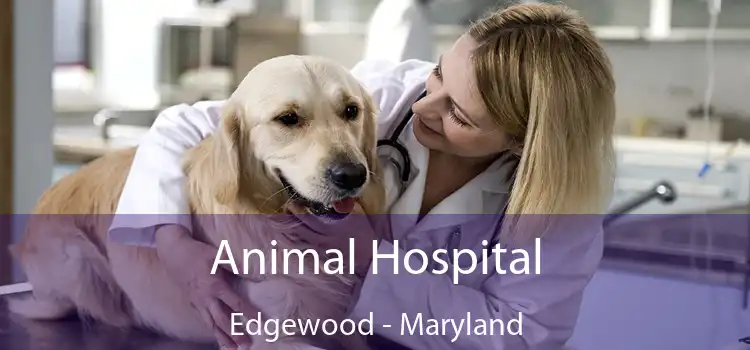 Animal Hospital Edgewood - Maryland