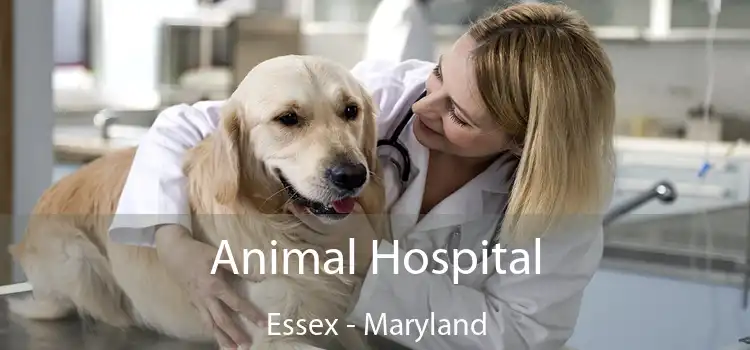 Animal Hospital Essex - Maryland