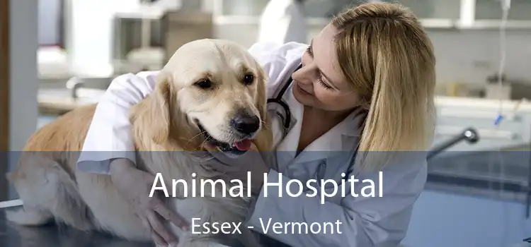 Animal Hospital Essex - Vermont