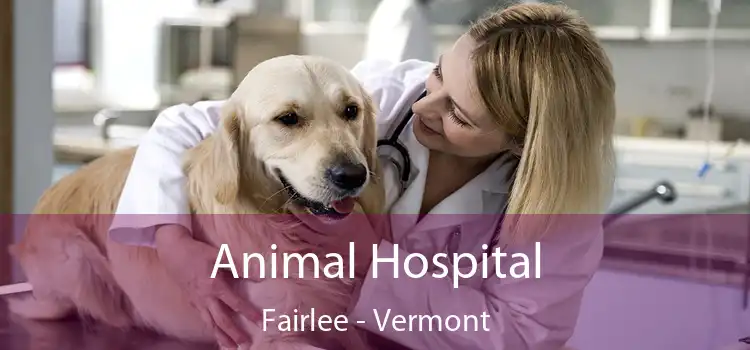 Animal Hospital Fairlee - Vermont